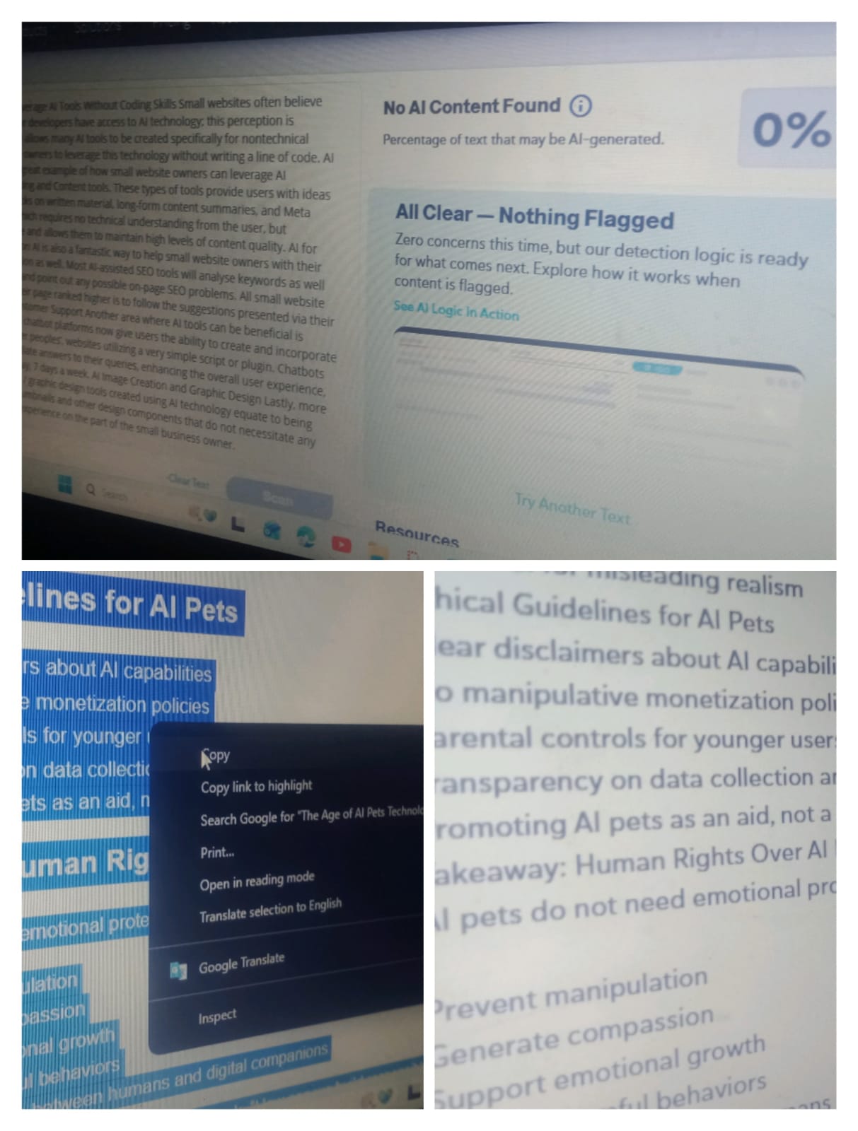 100% Human-Written Content